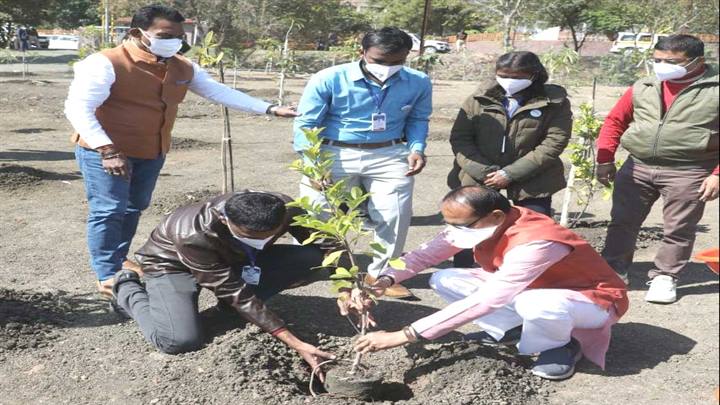 मुख्यमंत्री श्री शिवराज सिंह ने भोपाल के स्मार्ट उद्यान में सप्तपर्णी और फाइकस का पौधा लगाया।